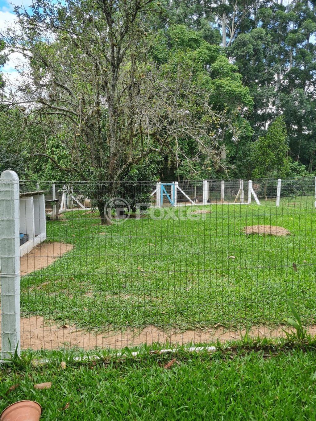 sitio chachara fazenda para comprar em Do Jaconi, 500 - foto 32