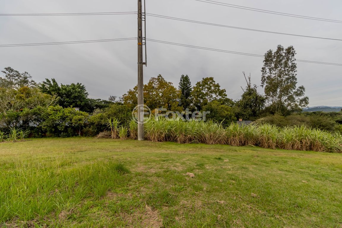 sitio chachara fazenda para comprar em Afonso Lourenço Mariante, 781 - foto 54