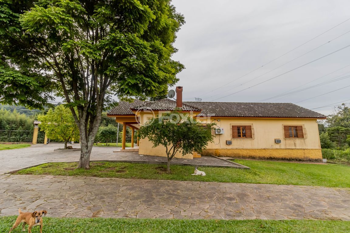 sitio chachara fazenda para comprar em Afonso Lourenço Mariante, 781 - foto 57