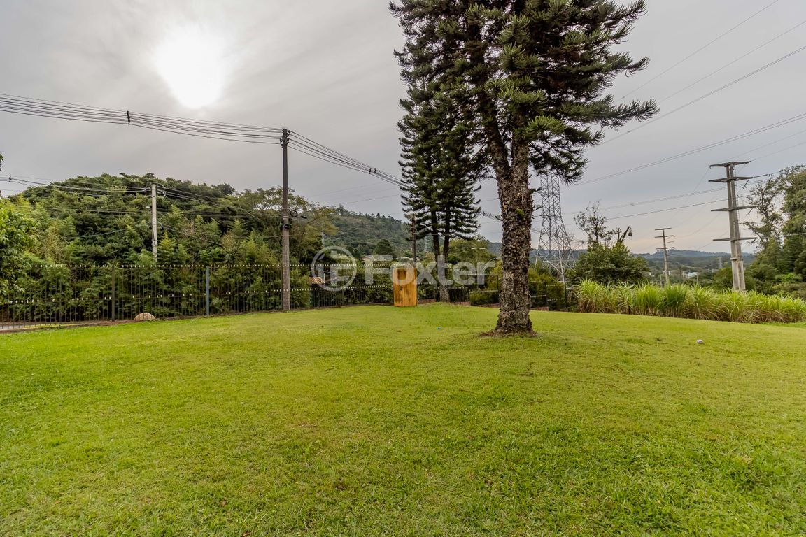 sitio chachara fazenda para comprar em Afonso Lourenço Mariante, 781 - foto 74