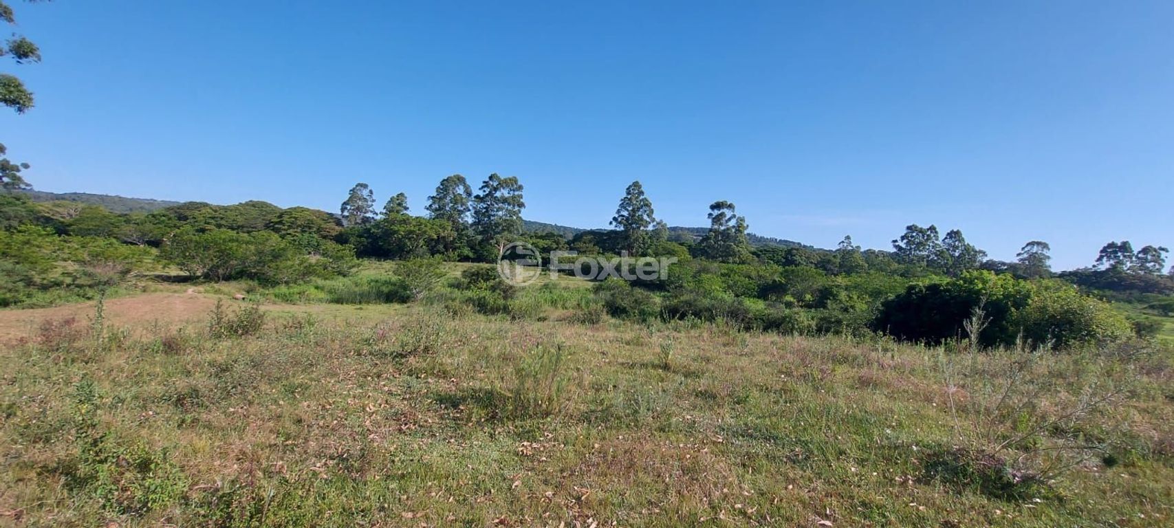 terreno lote condominio para comprar em das Quirinas, S/N - foto 12