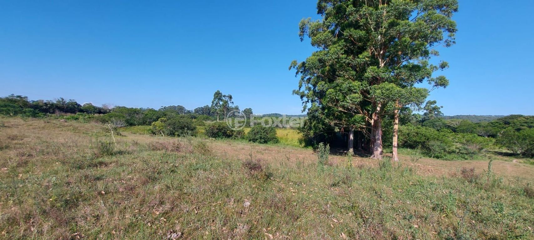 terreno lote condominio para comprar em das Quirinas, S/N - foto 7