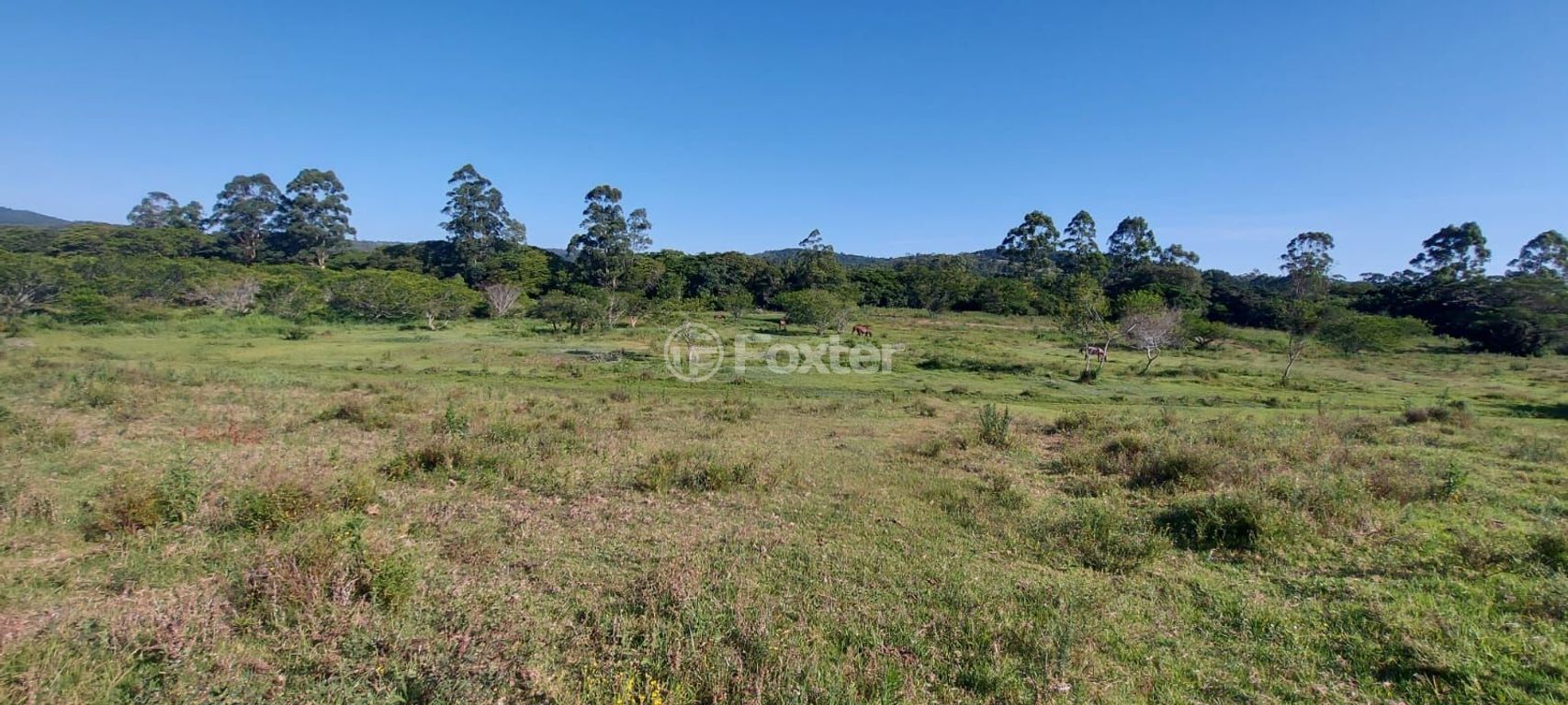 terreno lote condominio para comprar em das Quirinas, S/N - foto 18