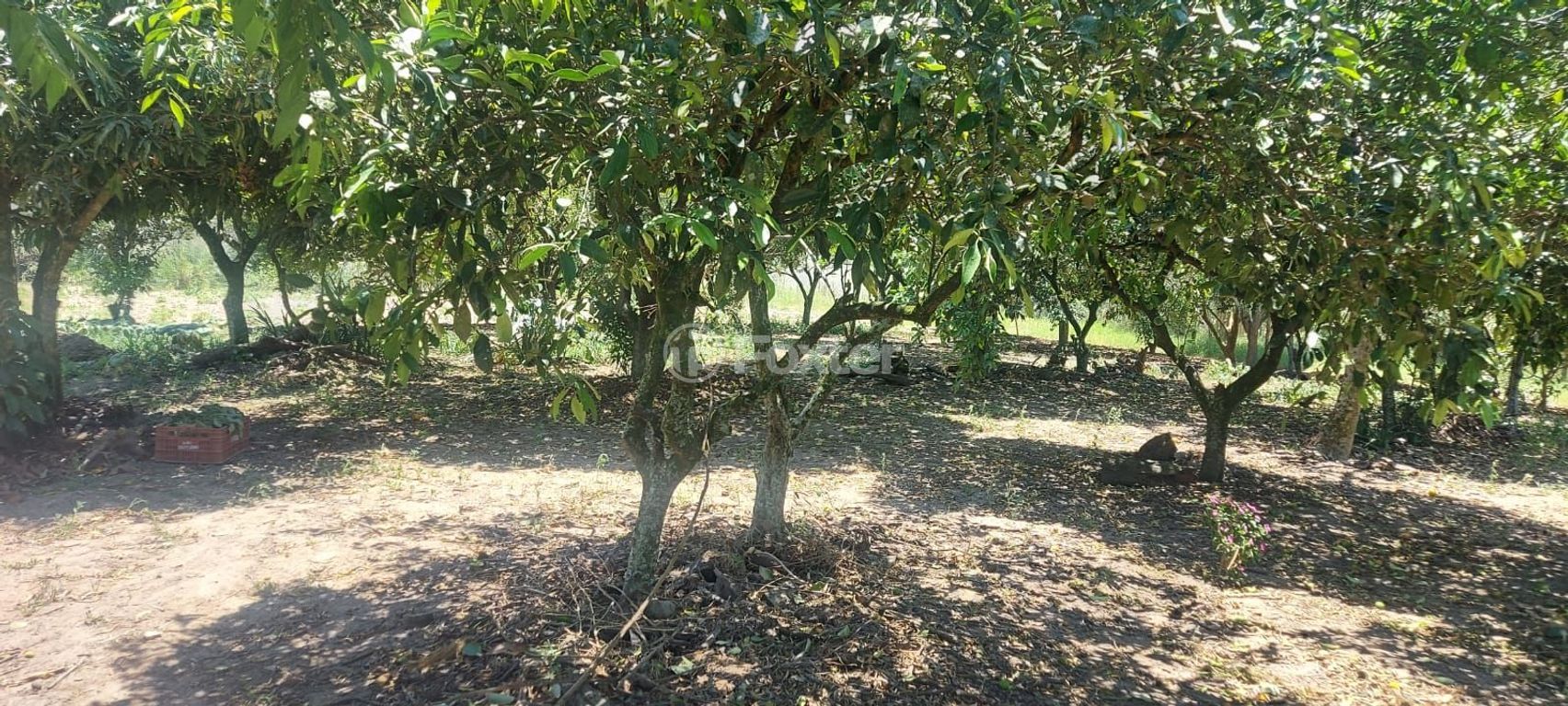 terreno lote condominio para comprar em das Quirinas, S/N - foto 19