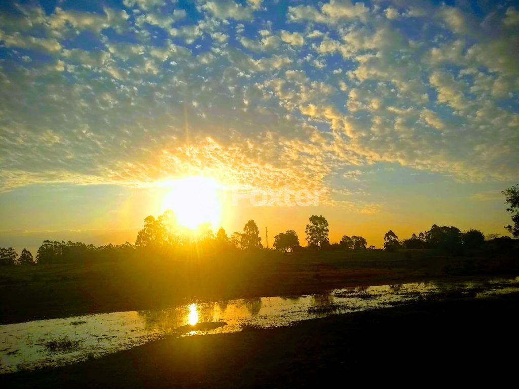 sitio chachara fazenda para comprar em Águas Claras, S/N - foto 29