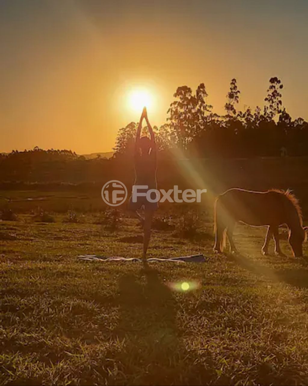 sitio chachara fazenda para comprar em Águas Claras, S/N - foto 30