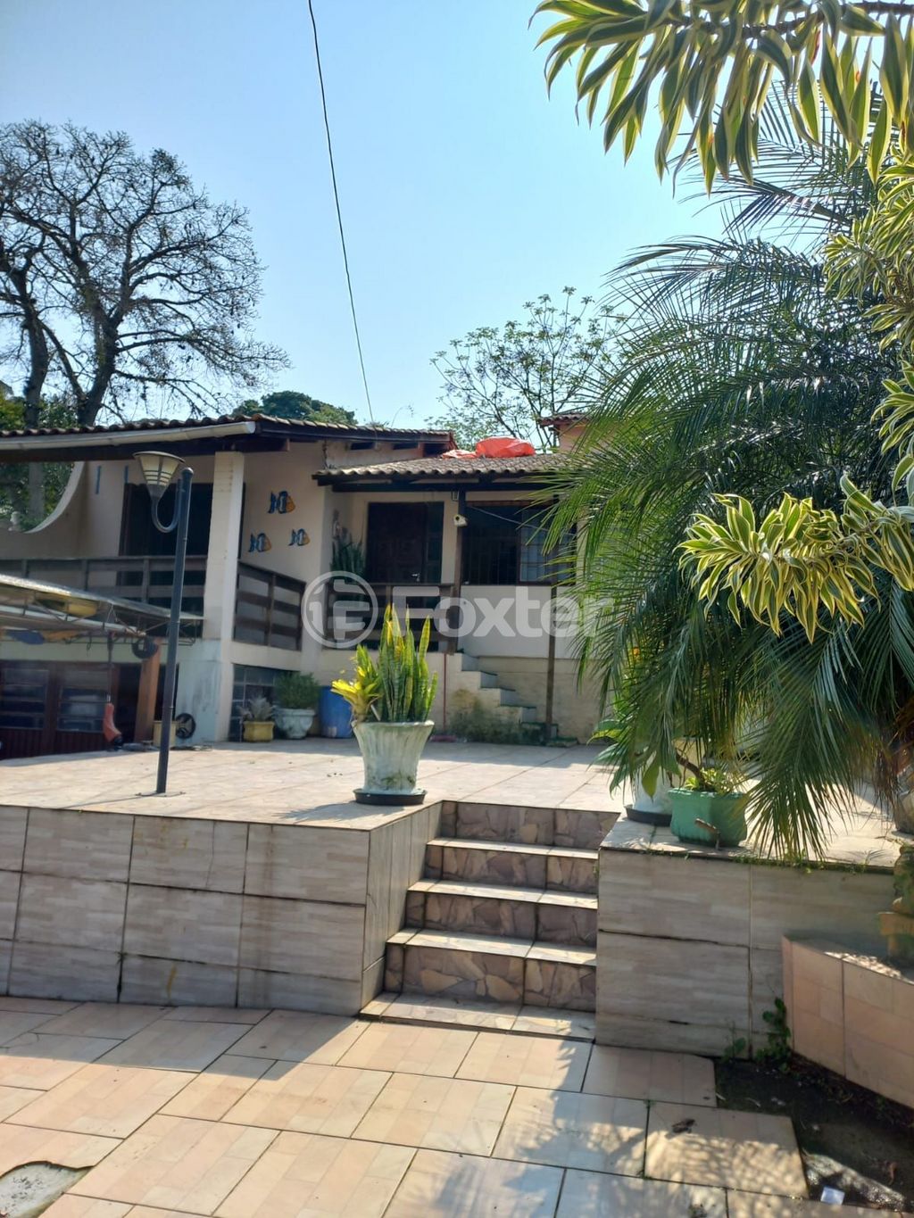 Foto do Anuncio