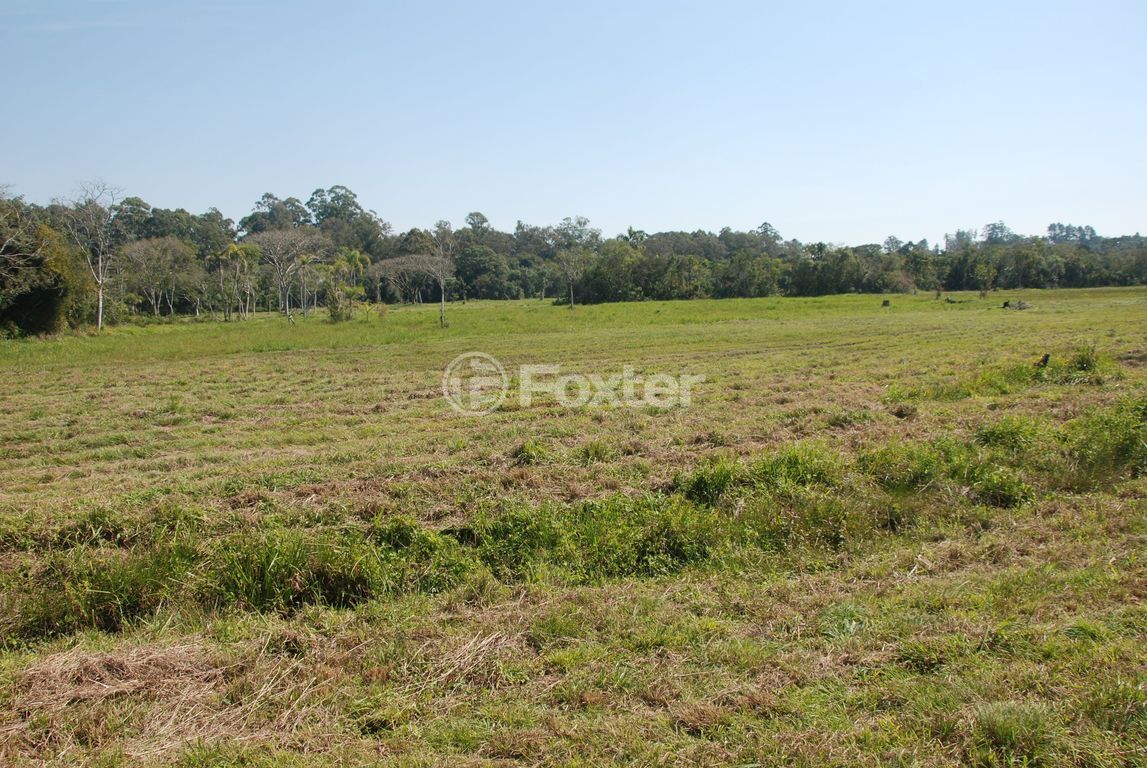 sitio chachara fazenda para comprar em Augusto dos Anjos, 2700 - foto 7
