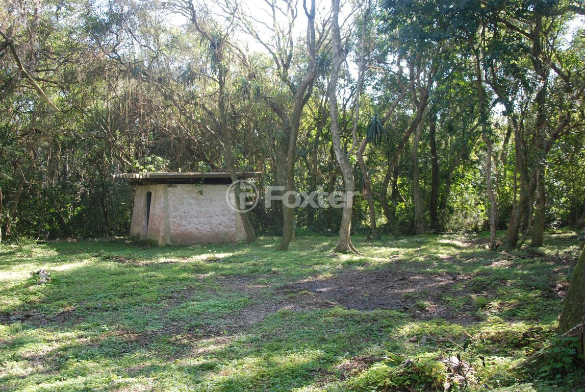 sitio chachara fazenda para comprar em Augusto dos Anjos, 2700 - foto 26