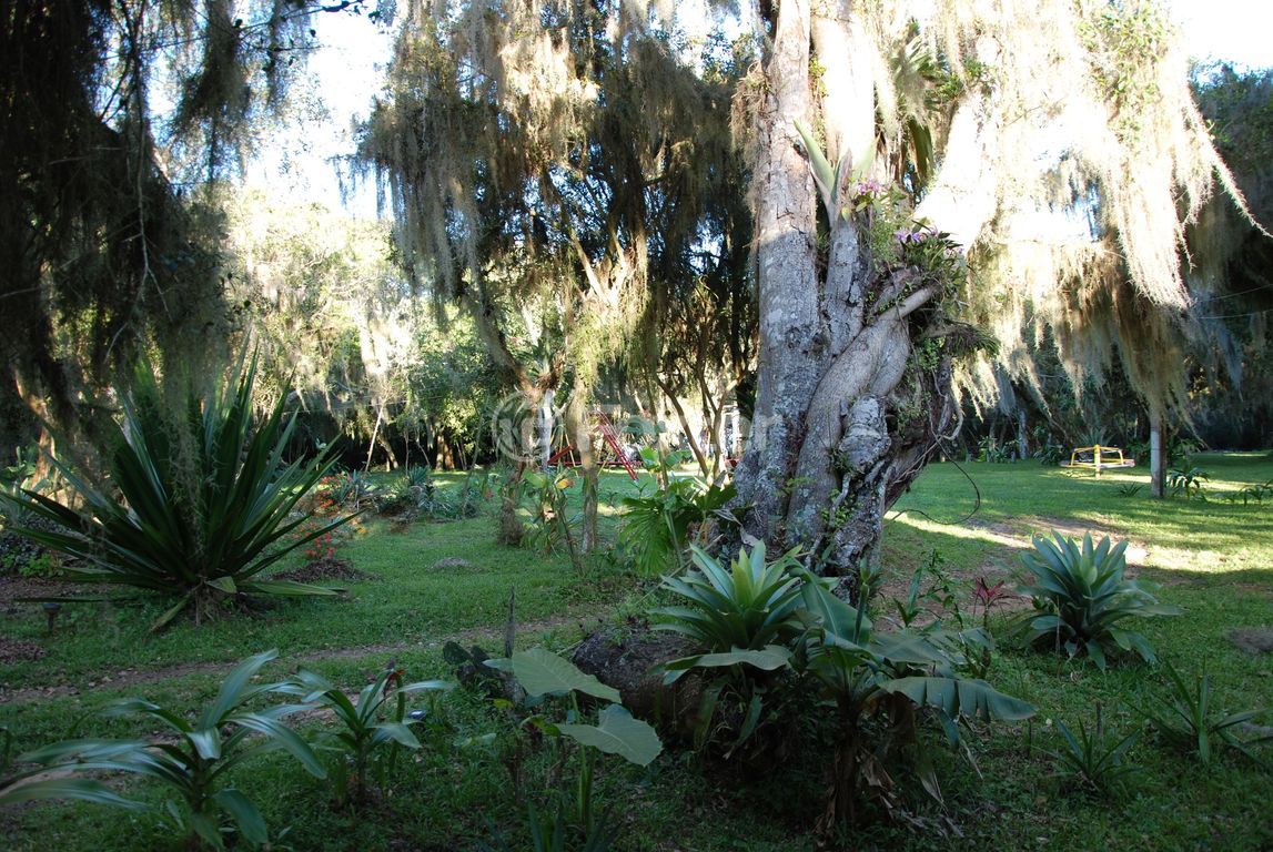 sitio chachara fazenda para comprar em Augusto dos Anjos, 2700 - foto 23