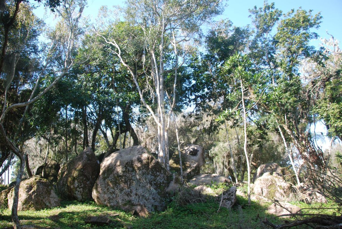 sitio chachara fazenda para comprar em Augusto dos Anjos, 2700 - foto 28