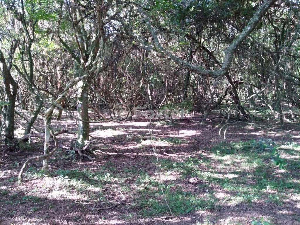 terreno lote condominio para comprar em Do Cemitério, 900 - foto 9