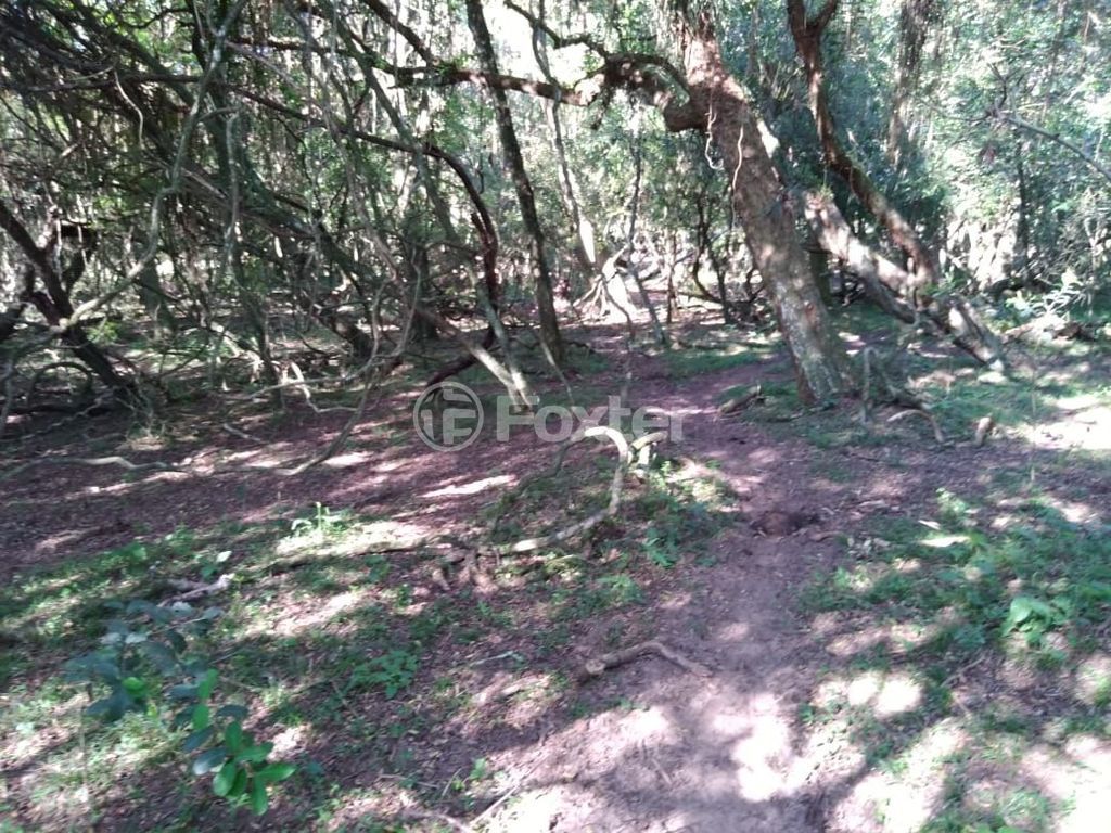 terreno lote condominio para comprar em Do Cemitério, 900 - foto 14