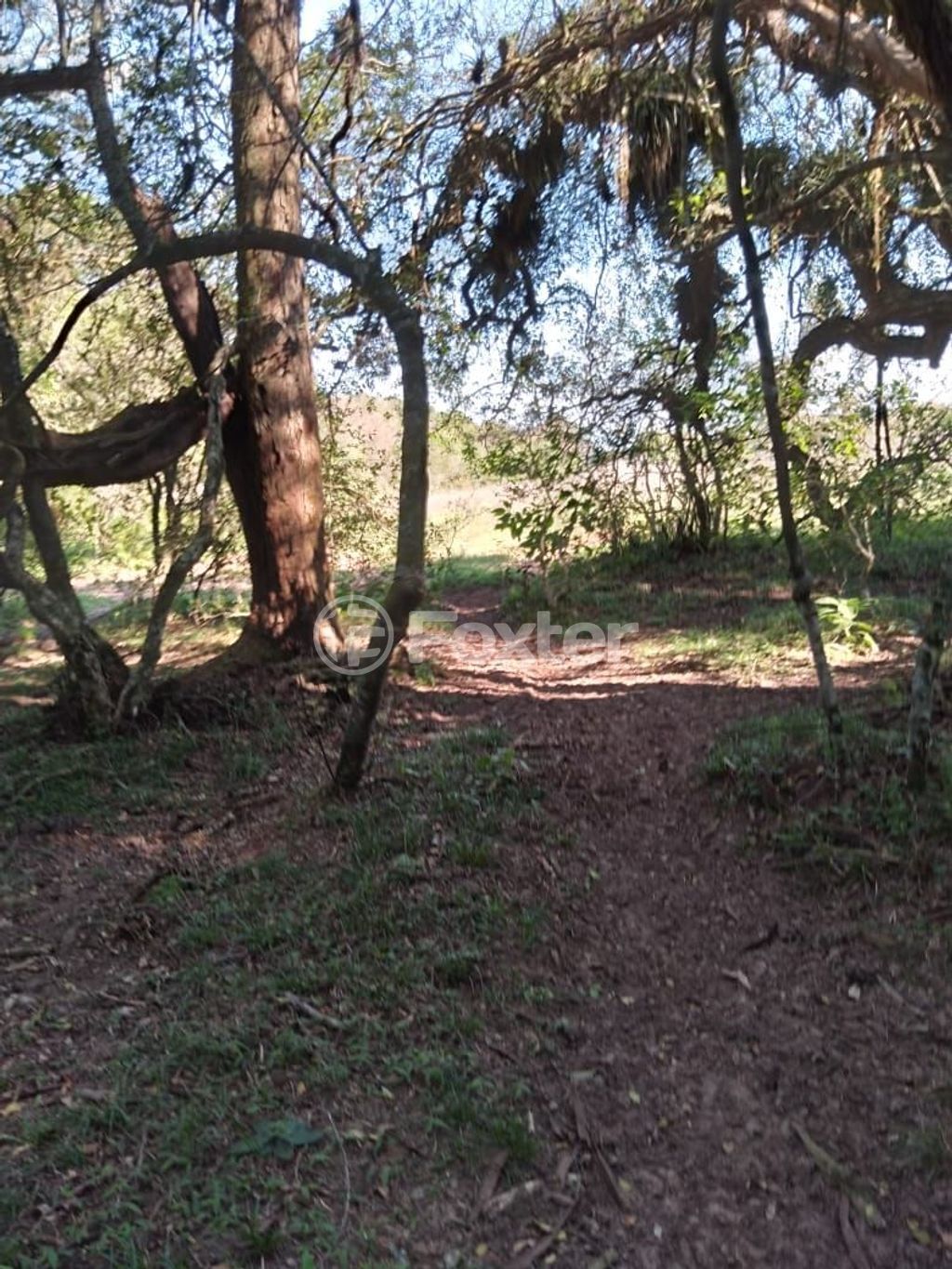 terreno lote condominio para comprar em Do Cemitério, 900 - foto 16