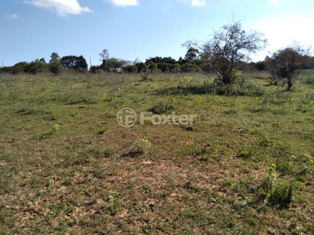 terreno lote condominio para comprar em Do Cemitério, 900 - foto 15