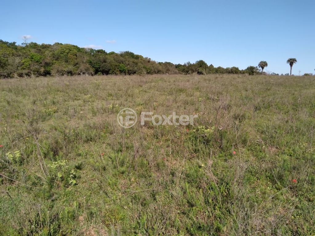 terreno lote condominio para comprar em Do Cemitério, 900 - foto 17
