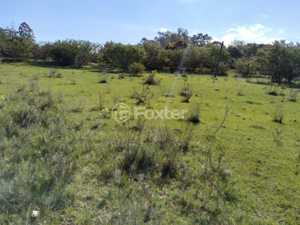 terreno lote condominio para comprar em Do Cemitério, 900 - foto 13