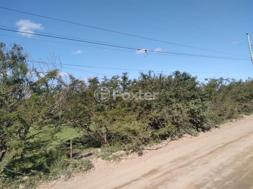 terreno lote condominio para comprar em Do Cemitério, 900 - foto 7