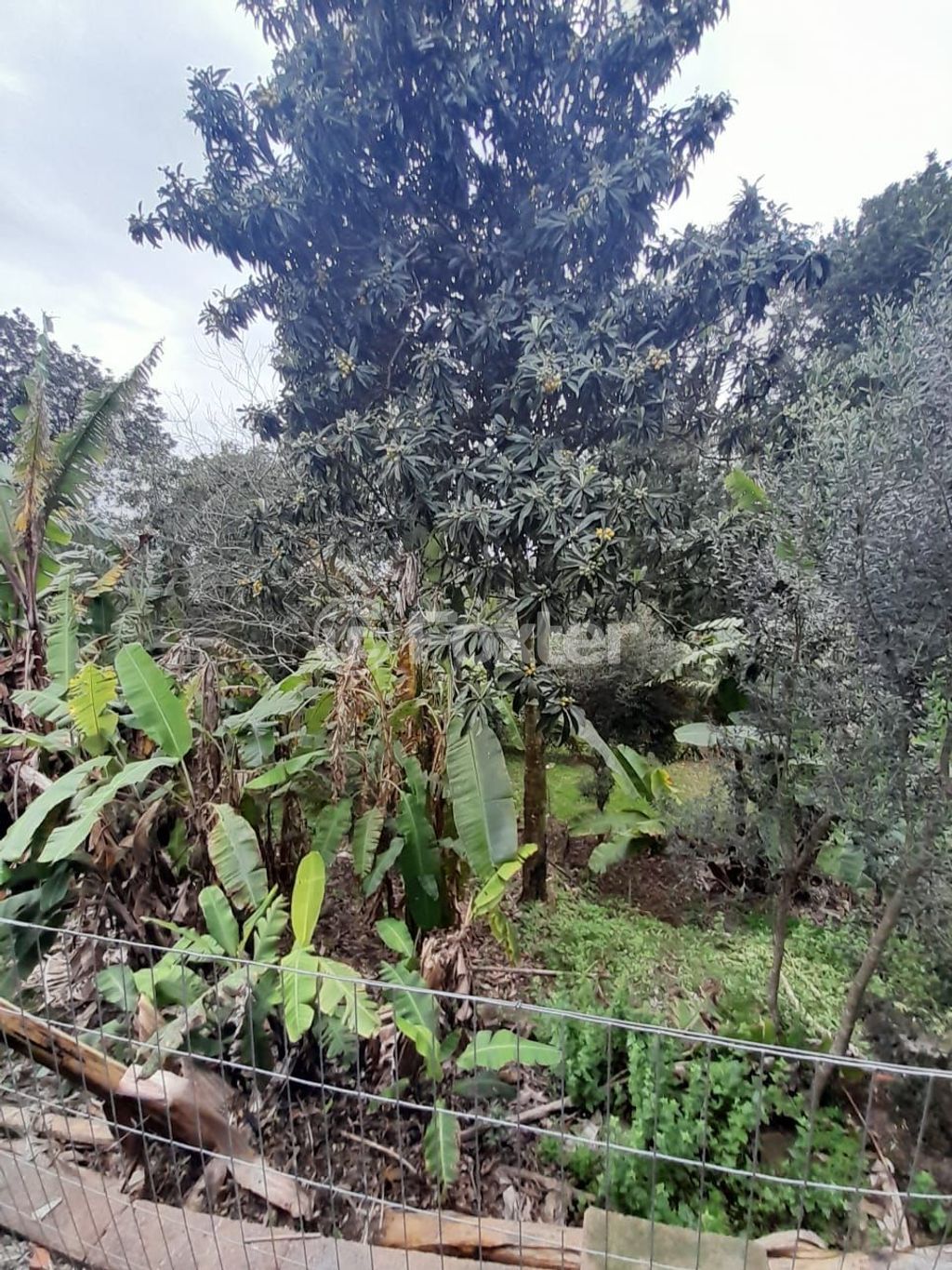 casa sobrado para comprar em RS-020, 117 - foto 14
