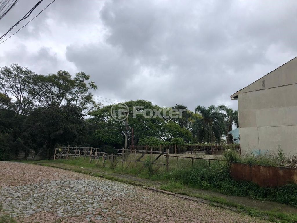 terreno lote condominio para comprar em Tenente Ary Tarrago, 911 - foto 7