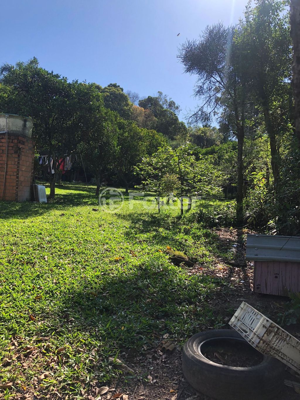 sitio chachara fazenda para comprar em do David, 2895 - foto 6