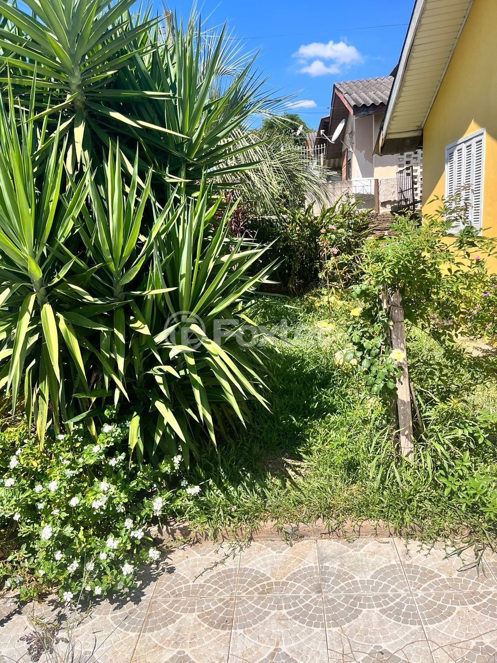 casa sobrado para comprar em Gonçalves de Magalhães, 687 - foto 25
