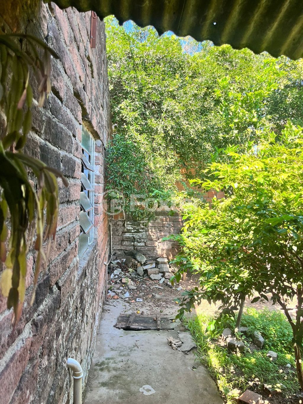 casa sobrado para comprar em Gonçalves de Magalhães, 687 - foto 24