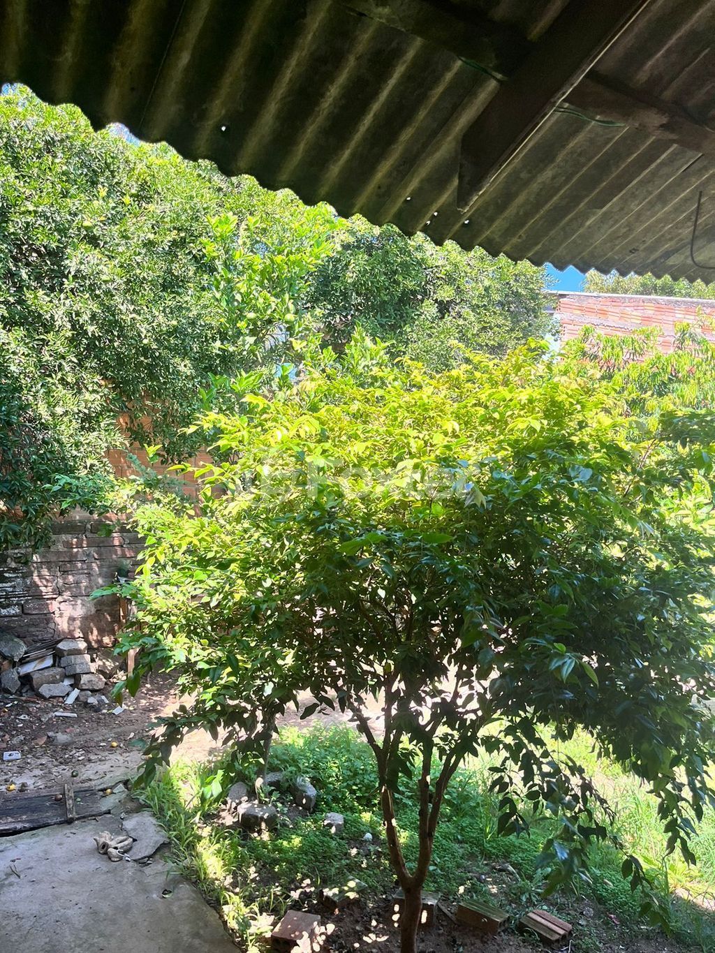 casa sobrado para comprar em Gonçalves de Magalhães, 687 - foto 26