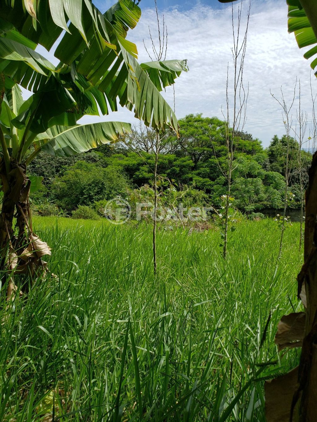 terreno lote condominio para comprar em Padre Teobaldo Leopoldo Frantz Sj, 2303 - foto 6