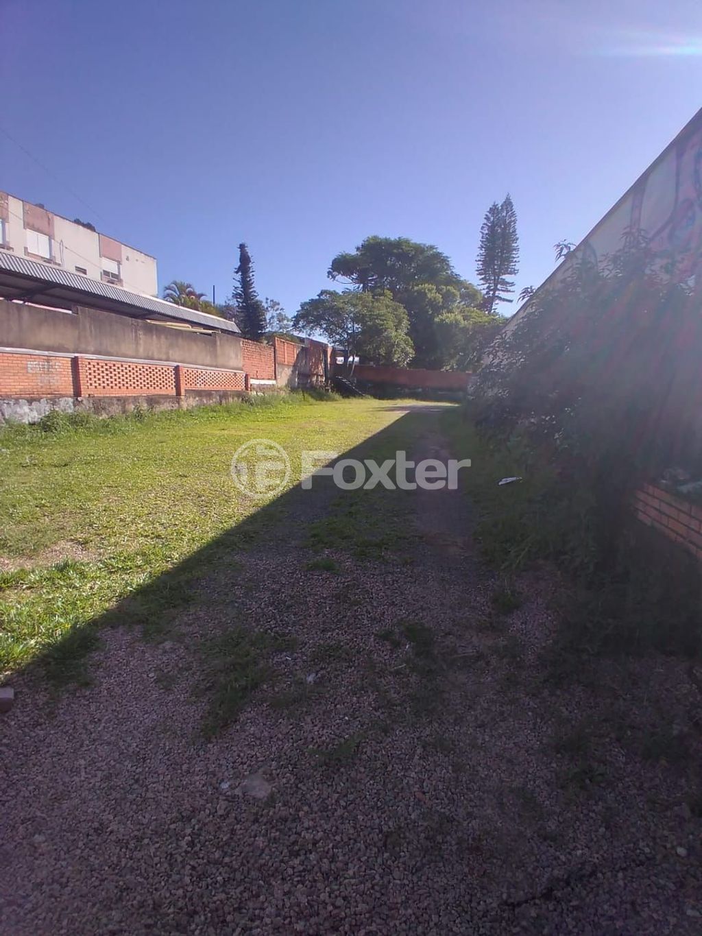 terreno lote condominio para comprar em Padre Cacique, 1000 - foto 10