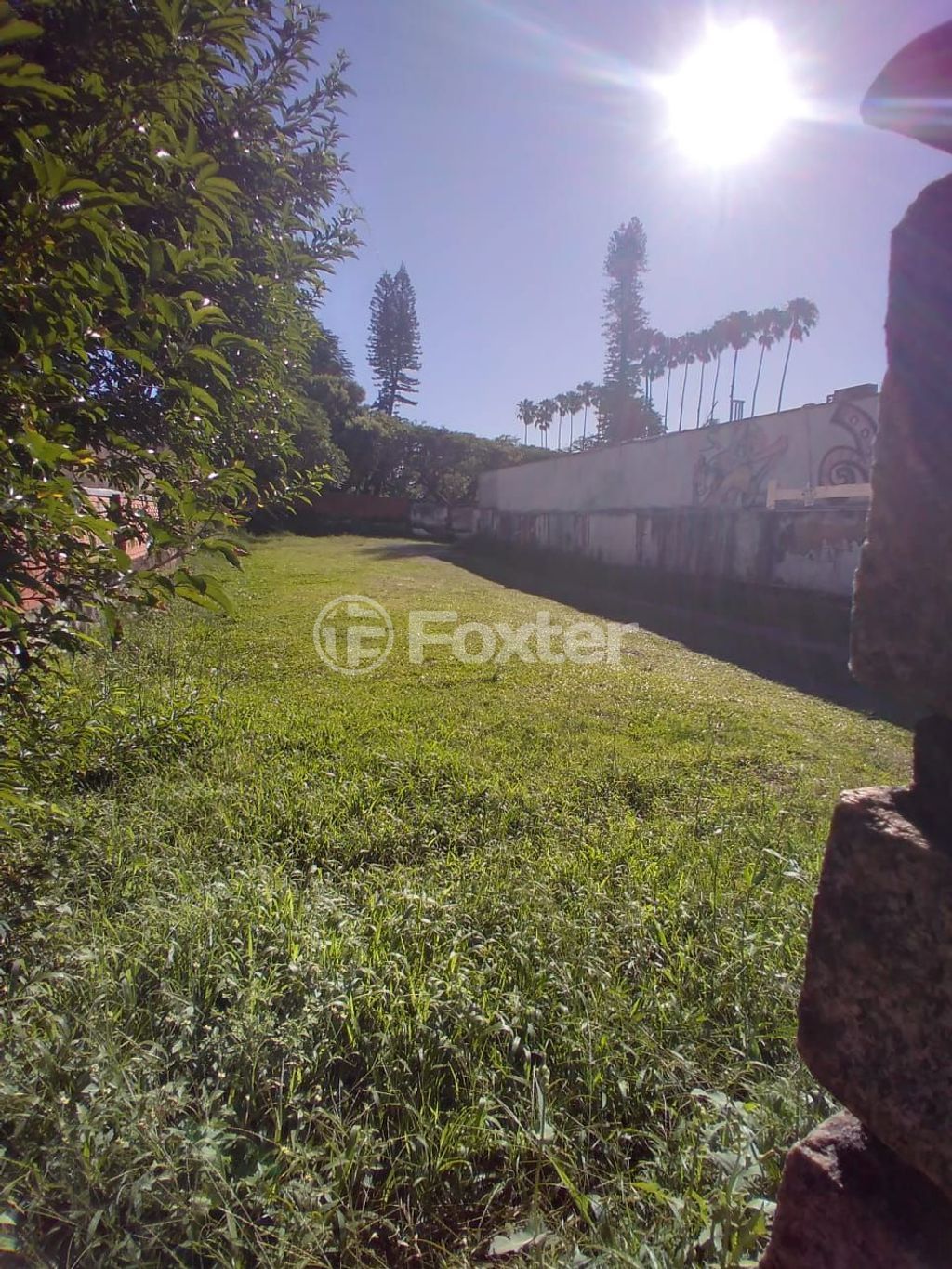 terreno lote condominio para comprar em Padre Cacique, 1000 - foto 12