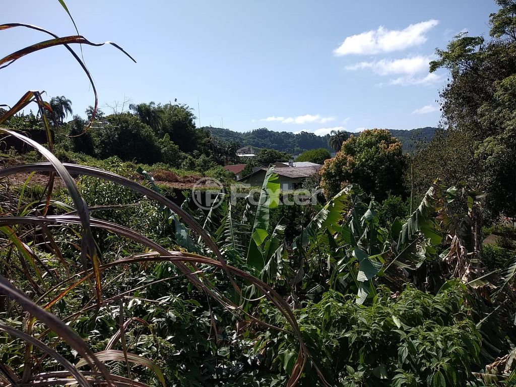 Foto do Anuncio
