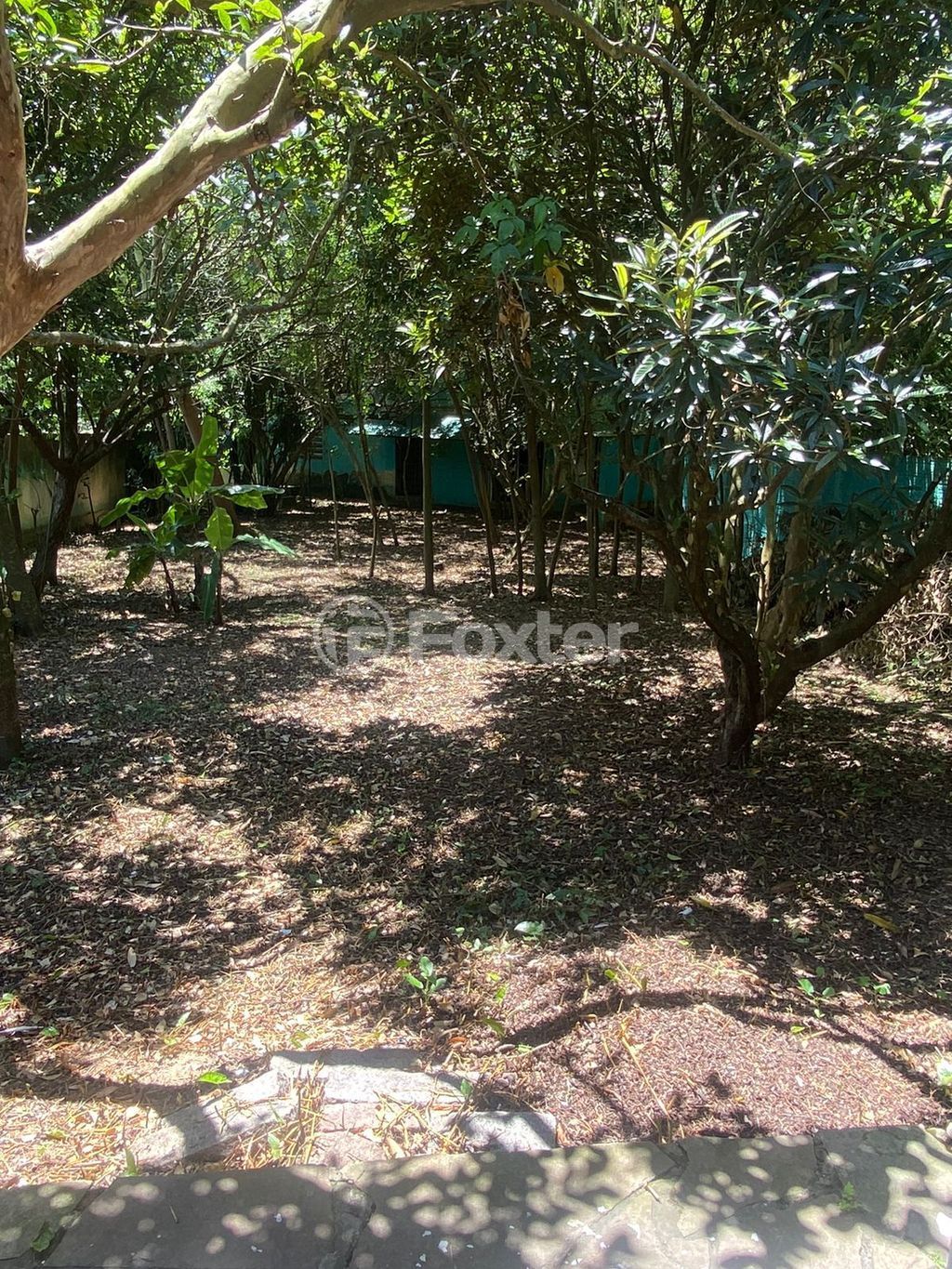 terreno lote condominio para comprar em Comendador Castro, 544 - foto 22