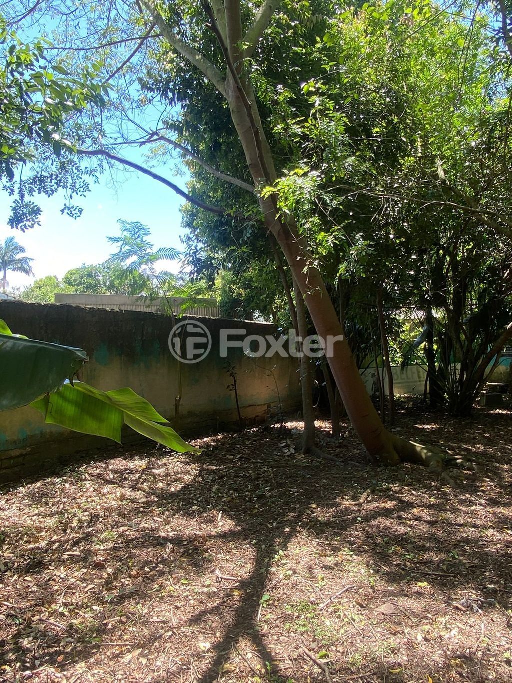 terreno lote condominio para comprar em Comendador Castro, 544 - foto 23