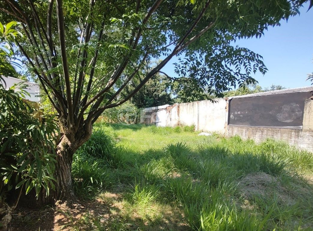terreno lote condominio para comprar em Guaíba, LOTE 26 - foto 7