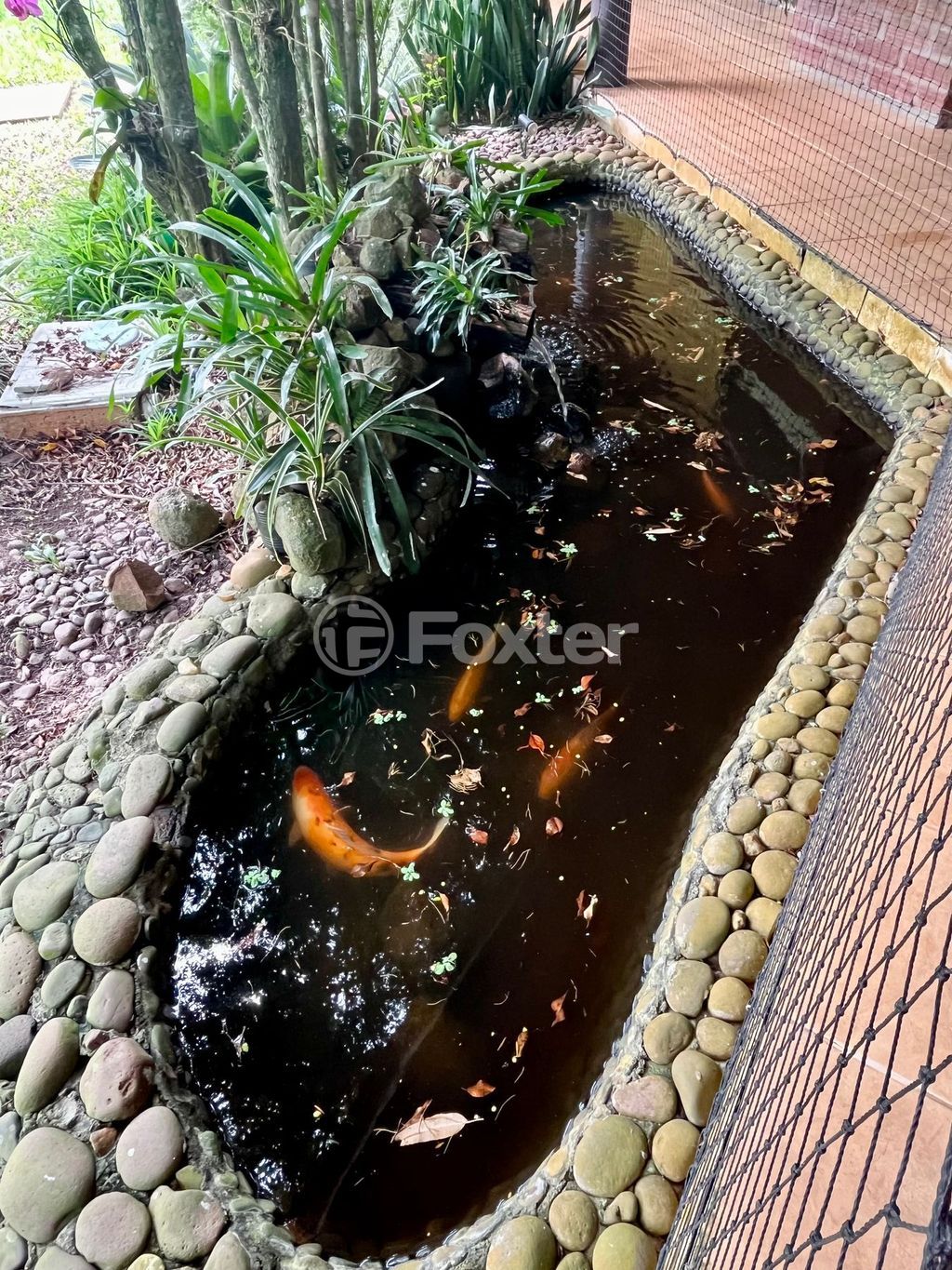 sitio chachara fazenda para comprar em Antônio Ignácio de Oliveira Filho, 2451 - foto 28