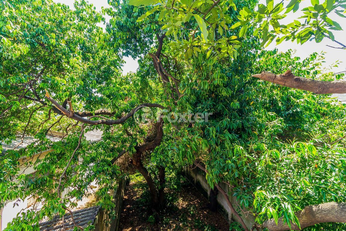 Apartamento para comprar em da Azenha, 247 - foto 14