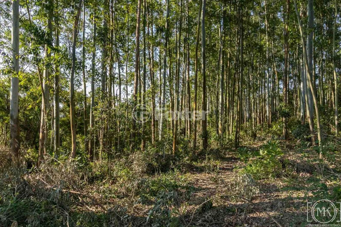 terreno lote condominio para comprar em Francisca de Oliveira Vieira, 2515 - foto 6