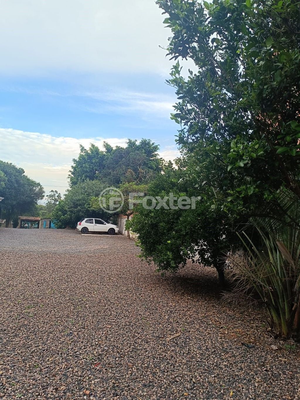 terreno lote condominio para comprar em José Garibaldi, 1375 - foto 20