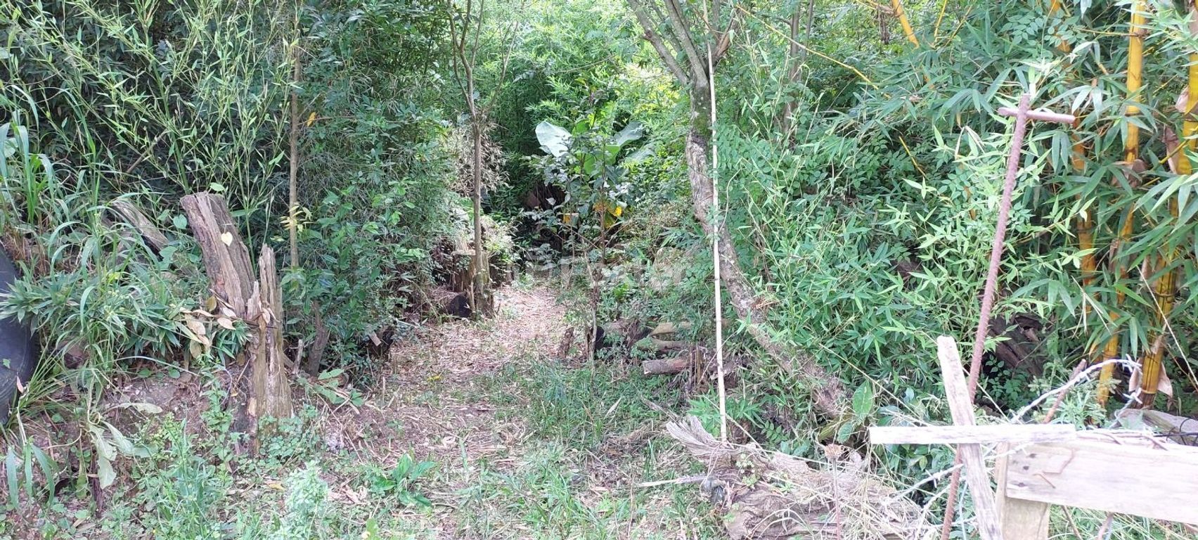 terreno lote condominio para comprar em A. J. Renner, 285 - foto 8