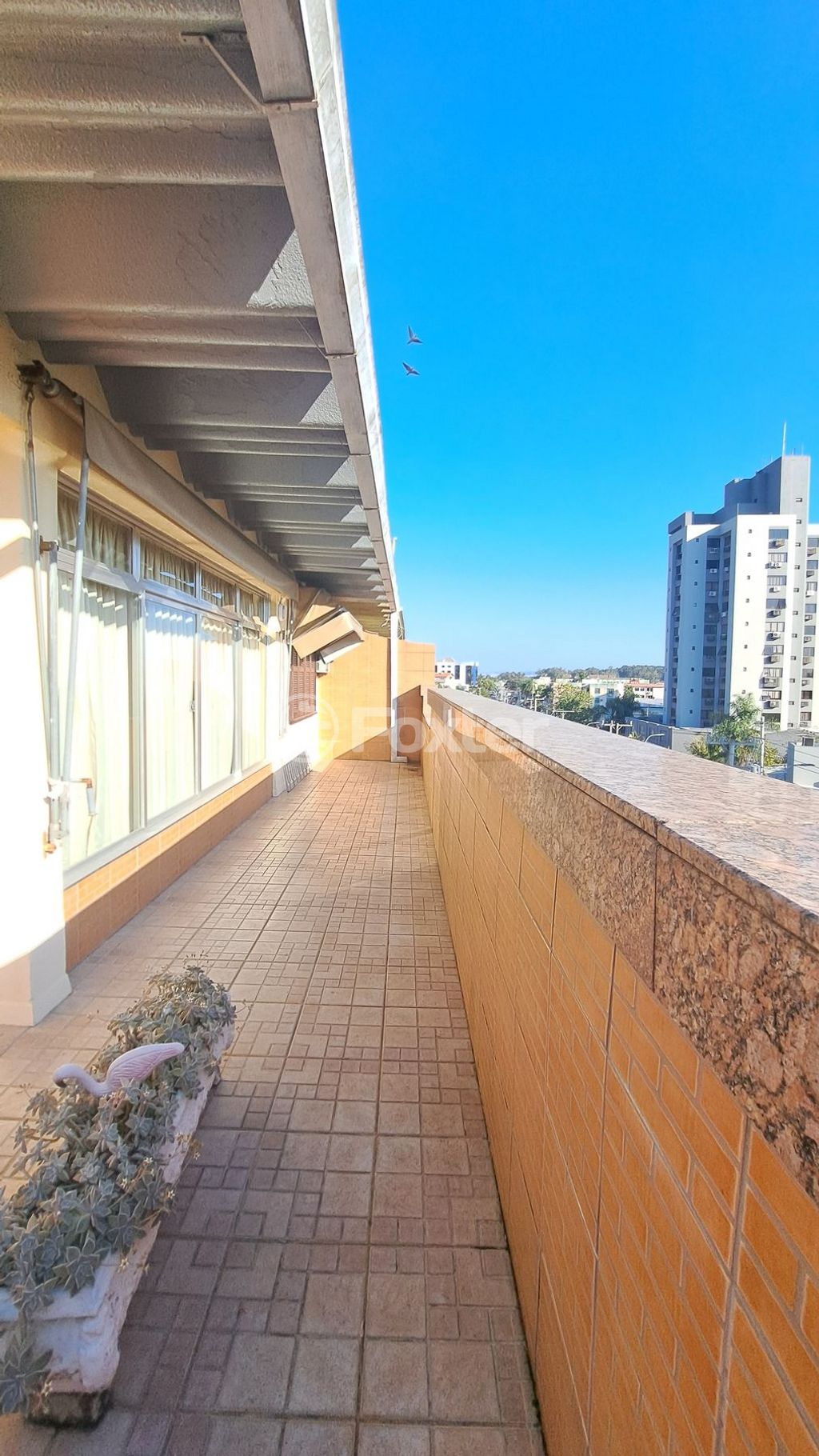 Foto do Anuncio