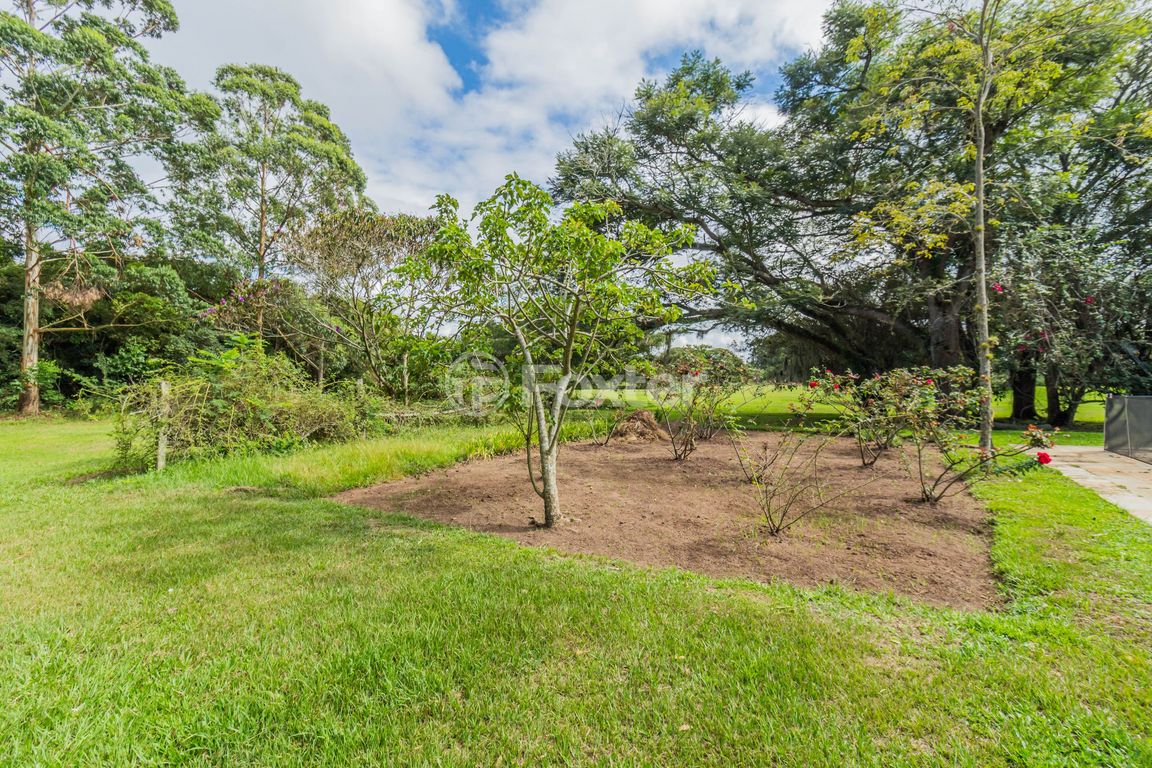 Foto do Anuncio