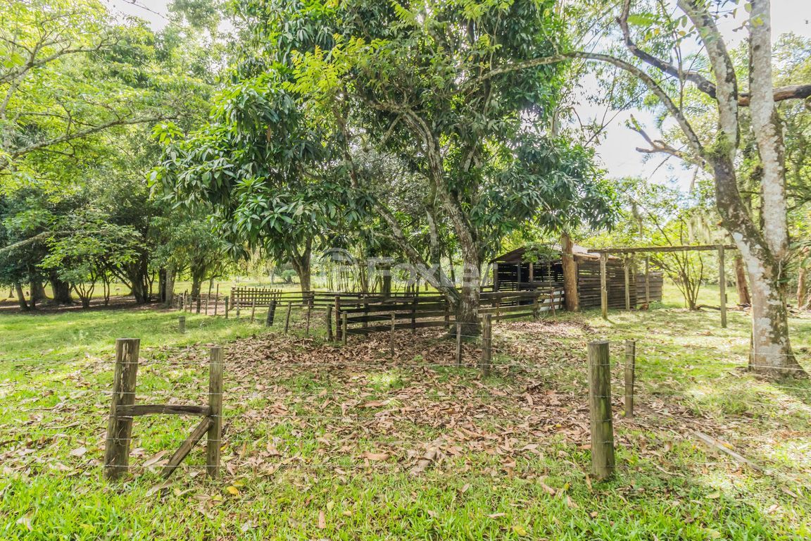 sitio chachara fazenda para comprar em Boa Vista, 4075 - foto 53