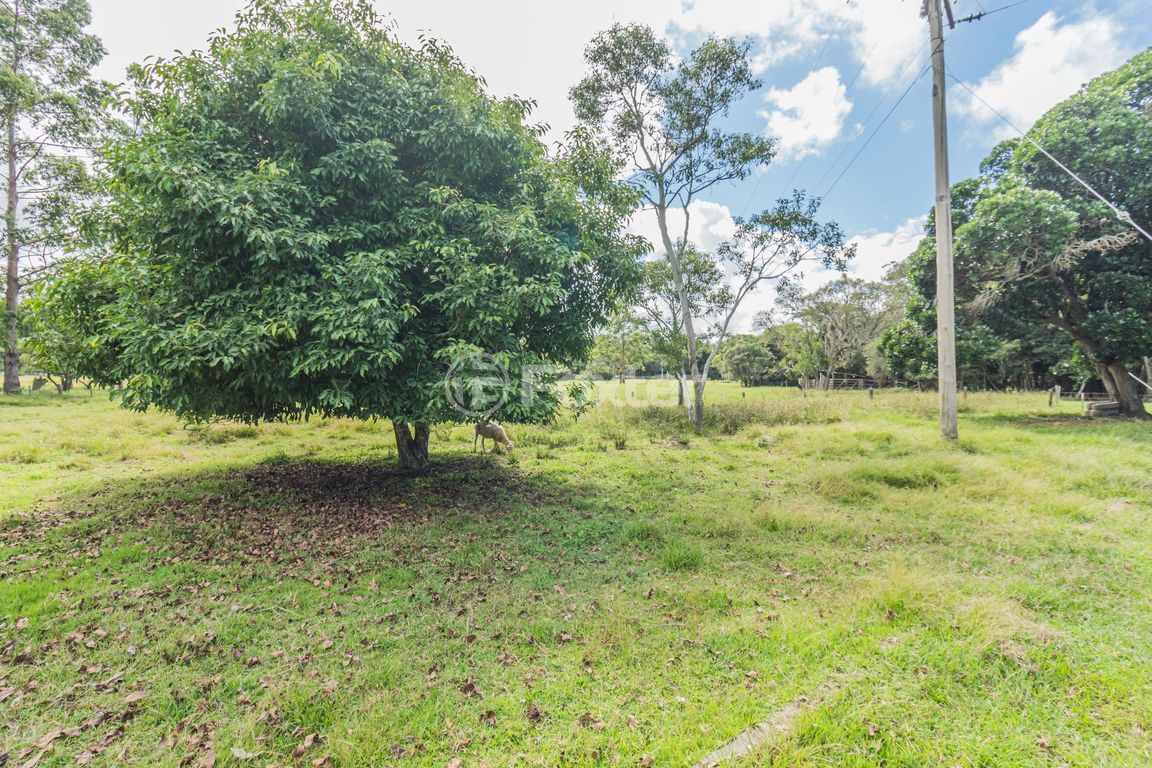 sitio chachara fazenda para comprar em Boa Vista, 4075 - foto 59