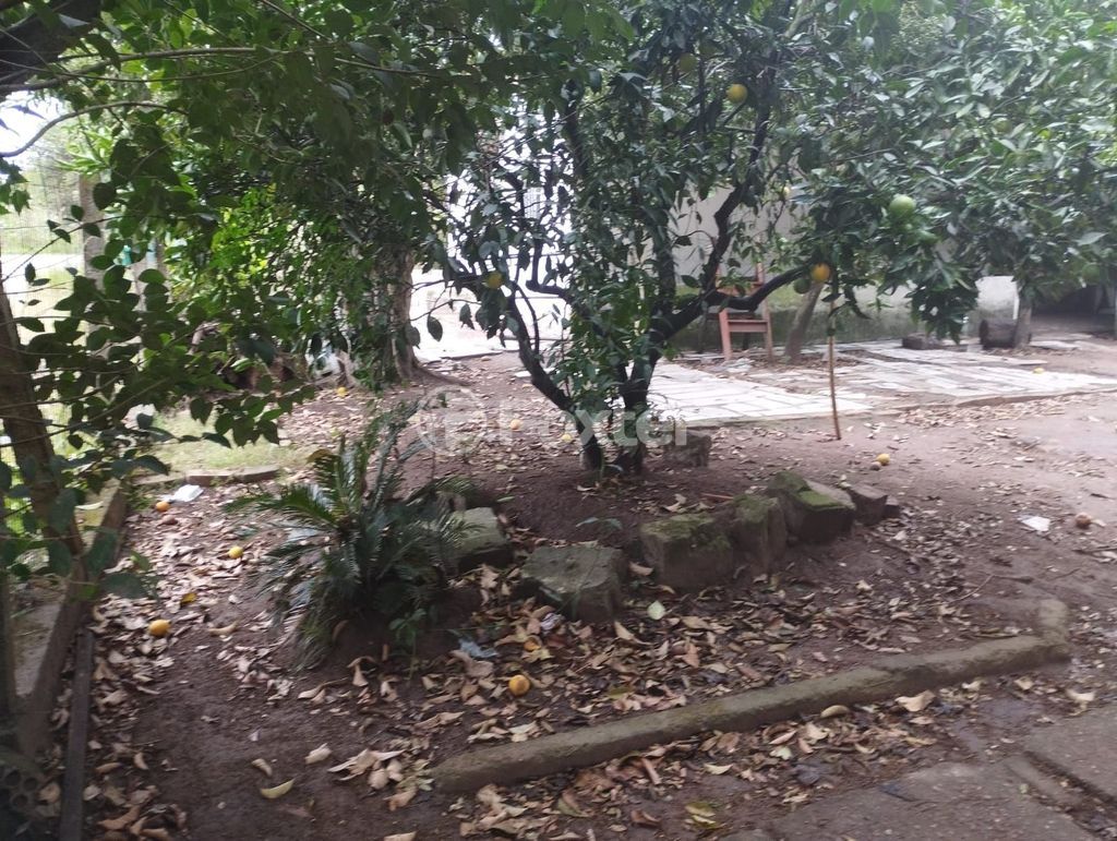 terreno lote condominio para comprar em Agice José Ramos, 37 - foto 25