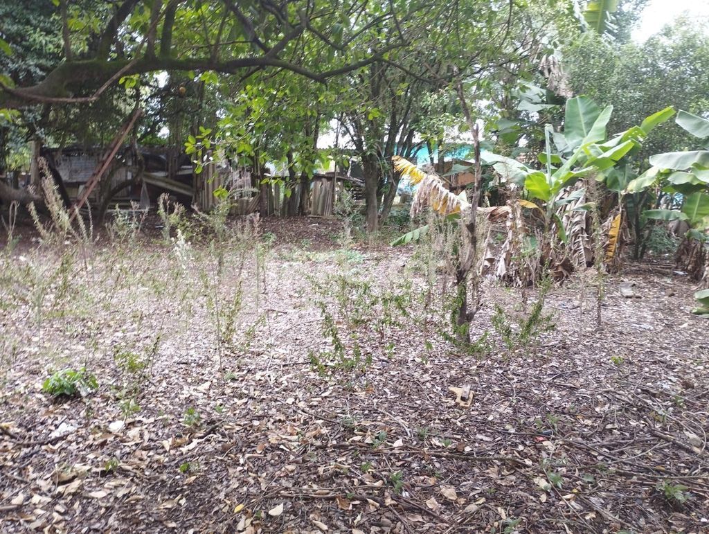 terreno lote condominio para comprar em Agice José Ramos, 37 - foto 30