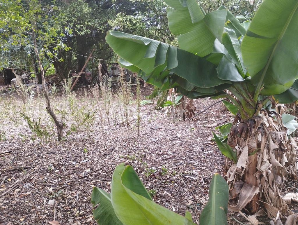 terreno lote condominio para comprar em Agice José Ramos, 37 - foto 34