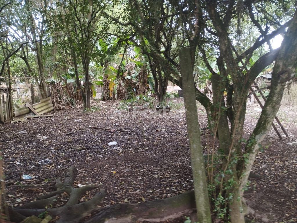 terreno lote condominio para comprar em Agice José Ramos, 37 - foto 37