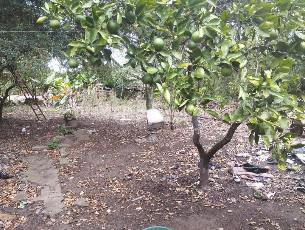 terreno lote condominio para comprar em Agice José Ramos, 37 - foto 46