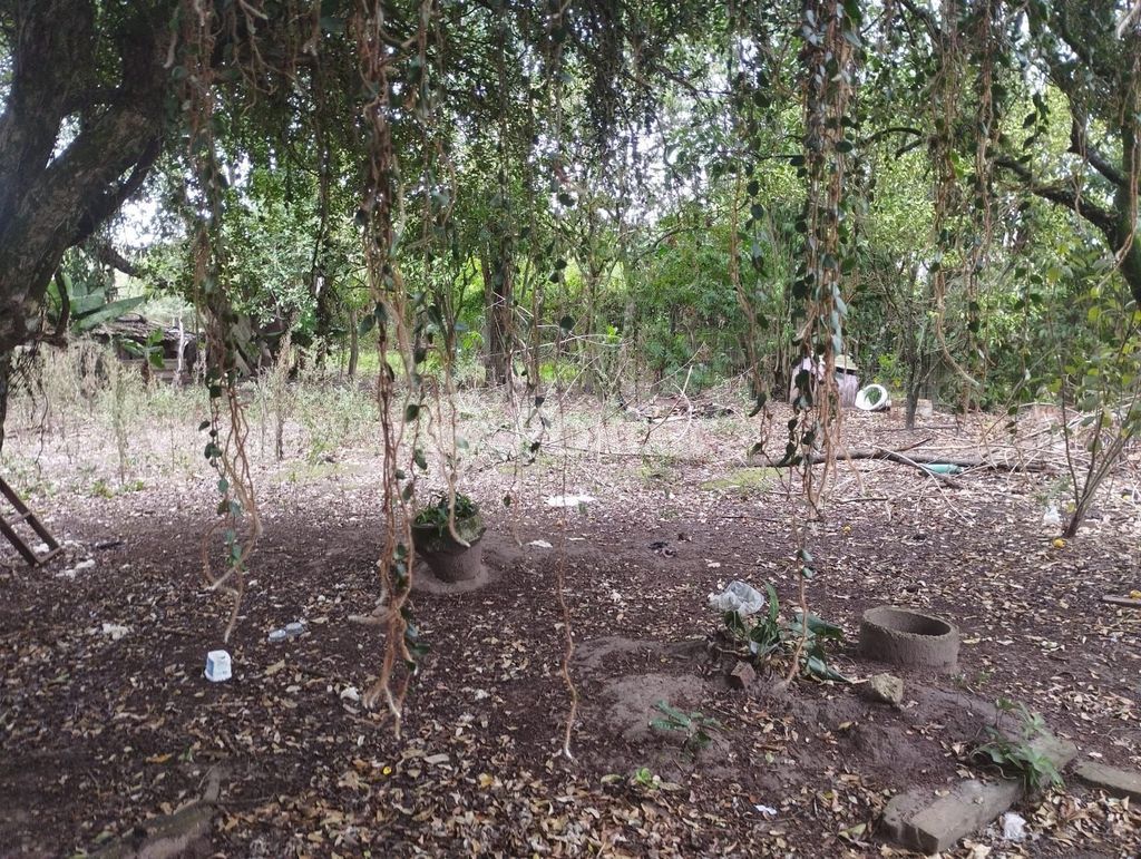 terreno lote condominio para comprar em Agice José Ramos, 37 - foto 39